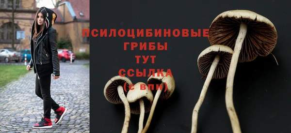 COCAINE Абаза