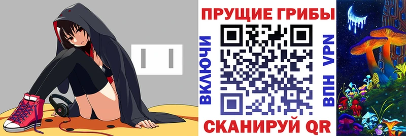 Псилоцибиновые грибы Psilocybe  OMG как зайти  Назрань 